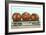 Giant Tomatoes on Flatbed-null-Framed Art Print