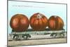 Giant Tomatoes on Flatbed-null-Mounted Art Print