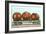 Giant Tomatoes on Flatbed-null-Framed Art Print