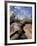 Giant Tortoise on Galapagos Islands, Ecuador-Stuart Westmoreland-Framed Photographic Print