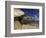 Giant Tortoise on the Beach-Martin Harvey-Framed Photographic Print