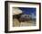 Giant Tortoise on the Beach-Martin Harvey-Framed Photographic Print