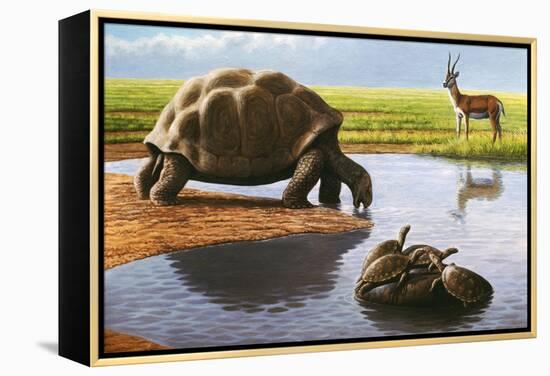 Giant Tortoise-Mauricio Anton-Framed Premier Image Canvas