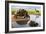 Giant Tortoise-Mauricio Anton-Framed Photographic Print