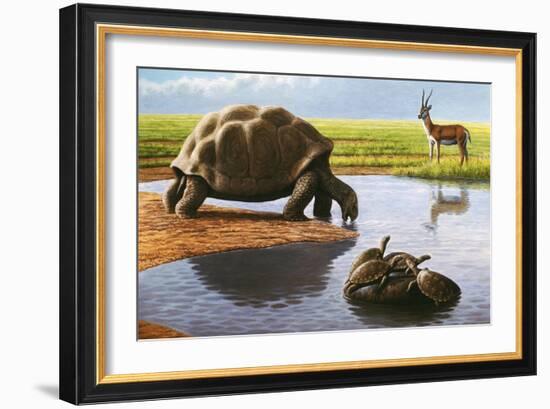 Giant Tortoise-Mauricio Anton-Framed Photographic Print