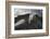 Giant Tortoise-DLILLC-Framed Photographic Print