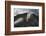 Giant Tortoise-DLILLC-Framed Photographic Print