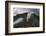 Giant Tortoise-DLILLC-Framed Photographic Print