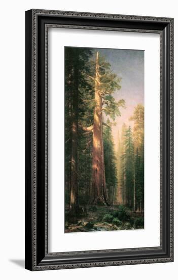 Giant Trees, Mariposa Grove, California-Albert Bierstadt-Framed Premium Giclee Print