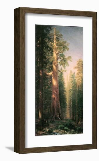 Giant Trees, Mariposa Grove, California-Albert Bierstadt-Framed Premium Giclee Print