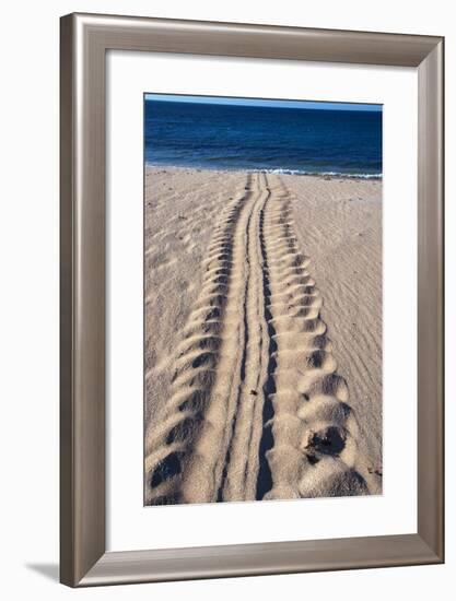 Giant Turtle Tracks in the Sand-Paul Souders-Framed Photographic Print