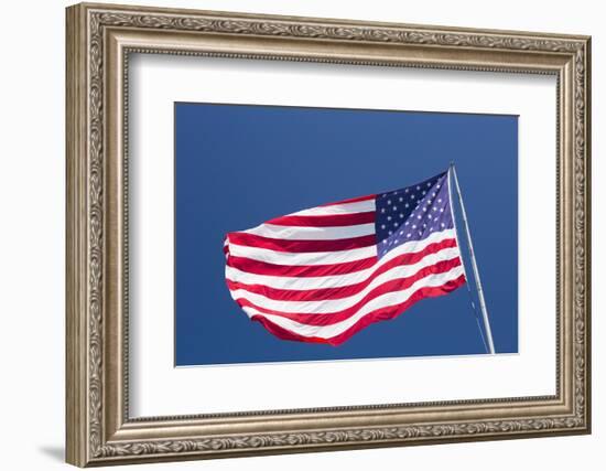 Giant US flag flying beneath a deep blue sky above Truman Avenue, Old Town-David Tomlinson-Framed Photographic Print