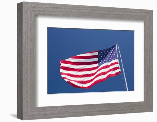 Giant US flag flying beneath a deep blue sky above Truman Avenue, Old Town-David Tomlinson-Framed Photographic Print