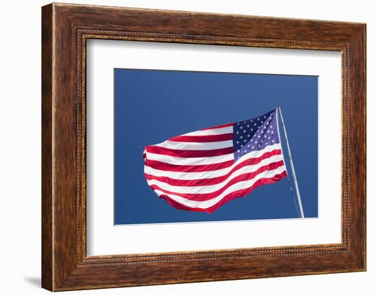 Giant US flag flying beneath a deep blue sky above Truman Avenue, Old Town-David Tomlinson-Framed Photographic Print