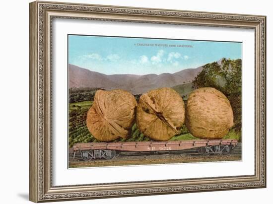 Giant Walnuts on Flatbed-null-Framed Art Print