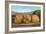 Giant Walnuts on Flatbed-null-Framed Art Print