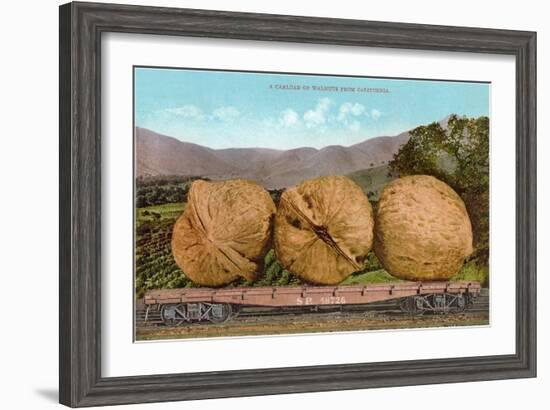 Giant Walnuts on Flatbed-null-Framed Art Print