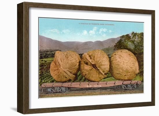 Giant Walnuts on Flatbed-null-Framed Art Print