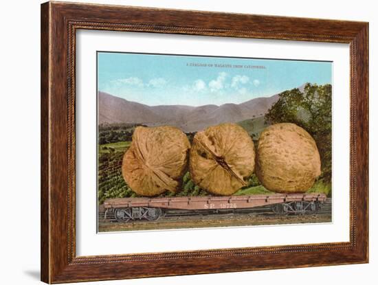 Giant Walnuts on Flatbed-null-Framed Art Print