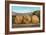 Giant Walnuts on Flatbed-null-Framed Art Print