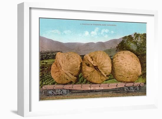 Giant Walnuts on Flatbed-null-Framed Art Print