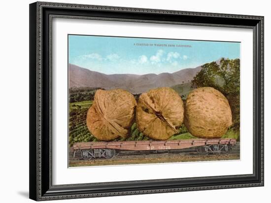 Giant Walnuts on Flatbed-null-Framed Art Print