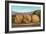 Giant Walnuts on Flatbed-null-Framed Art Print