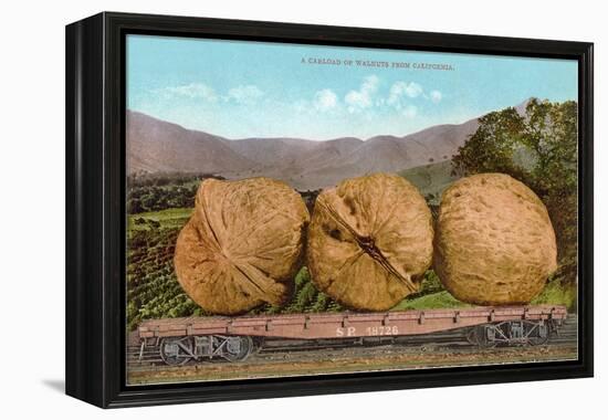 Giant Walnuts on Flatbed-null-Framed Stretched Canvas