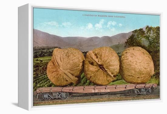 Giant Walnuts on Flatbed-null-Framed Stretched Canvas