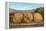 Giant Walnuts on Flatbed-null-Framed Stretched Canvas