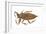 Giant Water Bug (Lethocerus Americanus), Electric Light Bug, Insects-Encyclopaedia Britannica-Framed Art Print