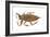 Giant Water Bug (Lethocerus Americanus), Electric Light Bug, Insects-Encyclopaedia Britannica-Framed Art Print