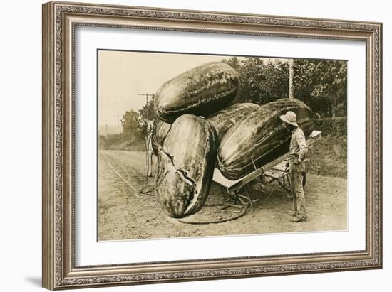 Giant Watermelons on Wagon-null-Framed Art Print