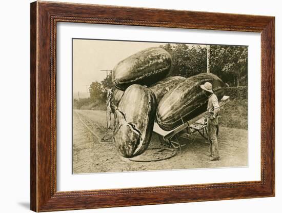 Giant Watermelons on Wagon-null-Framed Art Print