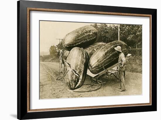 Giant Watermelons on Wagon-null-Framed Art Print