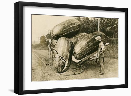 Giant Watermelons on Wagon-null-Framed Art Print