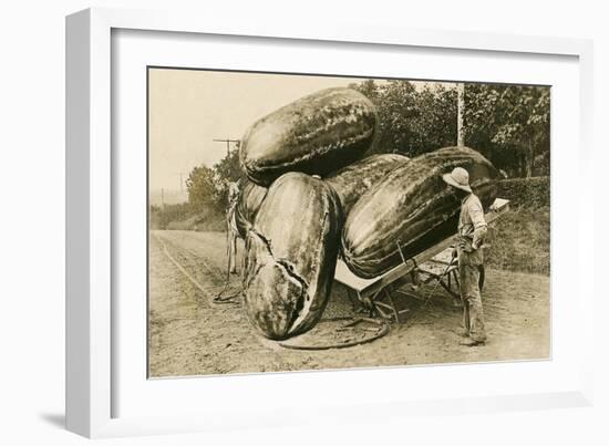 Giant Watermelons on Wagon-null-Framed Art Print