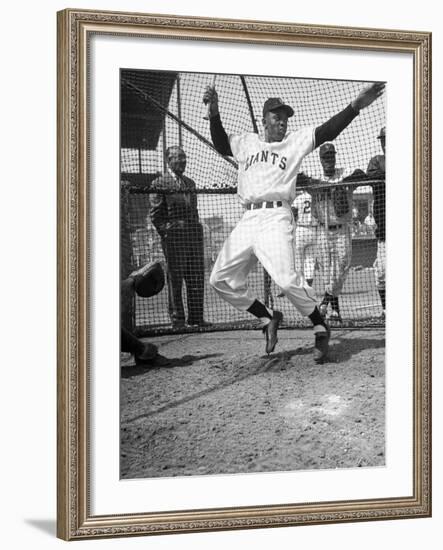 Giants Baseball Player Willie Mays Playing Pepper at Phoenix Training Camp-Loomis Dean-Framed Premium Photographic Print