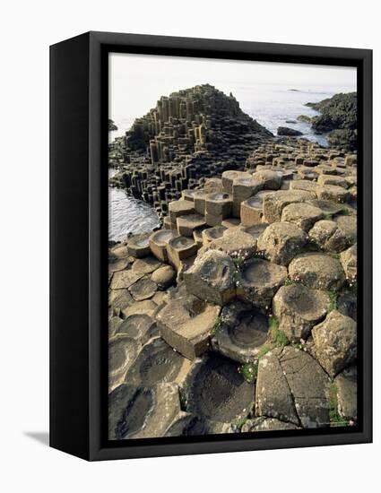 Giants Causeway, Unesco World Heritage Site, County Antrim, Ulster, Northern Ireland-G Richardson-Framed Premier Image Canvas