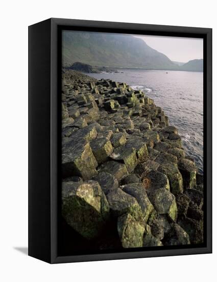 Giants Causeway, Unesco World Heritage Site, County Antrim, Ulster, Northern Ireland-G Richardson-Framed Premier Image Canvas