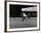 Giants Player, Willie Mays, Running to Catch Ball in Out Field-null-Framed Premium Photographic Print