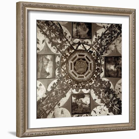 Giardini Italiano #5-Alan Blaustein-Framed Photographic Print