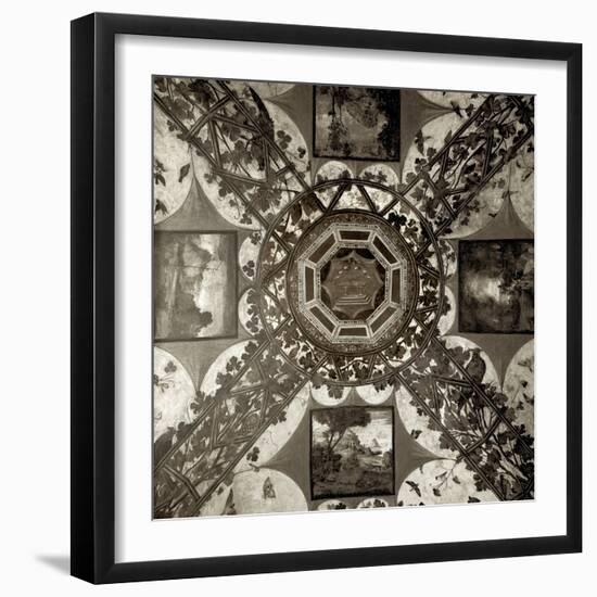 Giardini Italiano V-Alan Blaustein-Framed Photographic Print