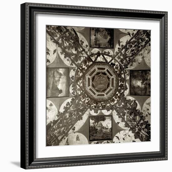 Giardini Italiano V-Alan Blaustein-Framed Photographic Print