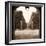 Giardini Portico-Alan Blaustein-Framed Photographic Print