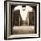 Giardini Portico-Alan Blaustein-Framed Photographic Print