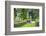 Giardino Bardini, Florence (Firenze), UNESCO World Heritage Site, Tuscany, Italy, Europe-Nico Tondini-Framed Photographic Print