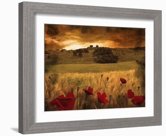 Giardino Sole-Fabio Panichi-Framed Photographic Print