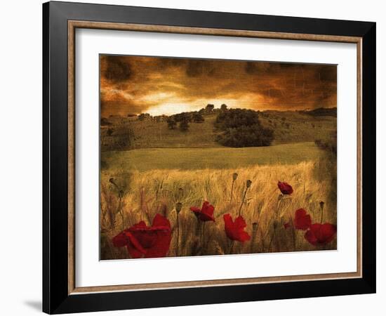 Giardino Sole-Fabio Panichi-Framed Photographic Print