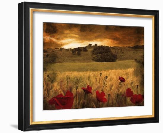 Giardino Sole-Fabio Panichi-Framed Photographic Print